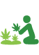 Home Cultivation Rights Icon